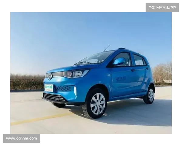 丽驰七款微型电动阵容 挑起中国微型车“颜值”大梁 丽驰七款微型电动阵容 挑起中国微型车“颜值”大梁