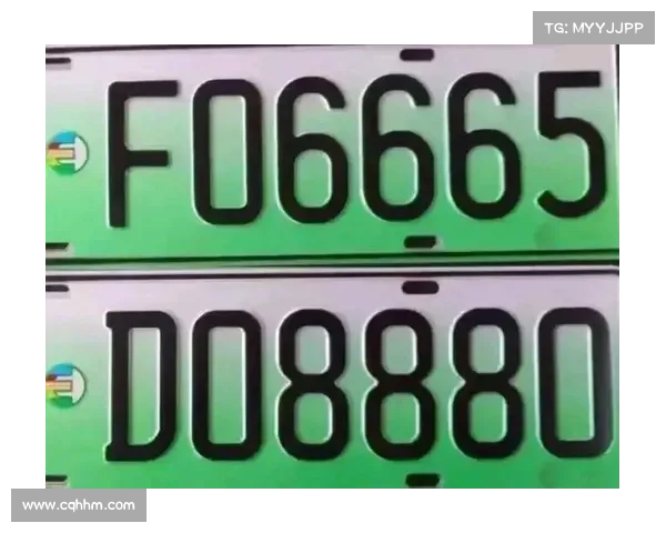 全新车牌样式 好看了N倍!终于可以不用挂蓝牌了
